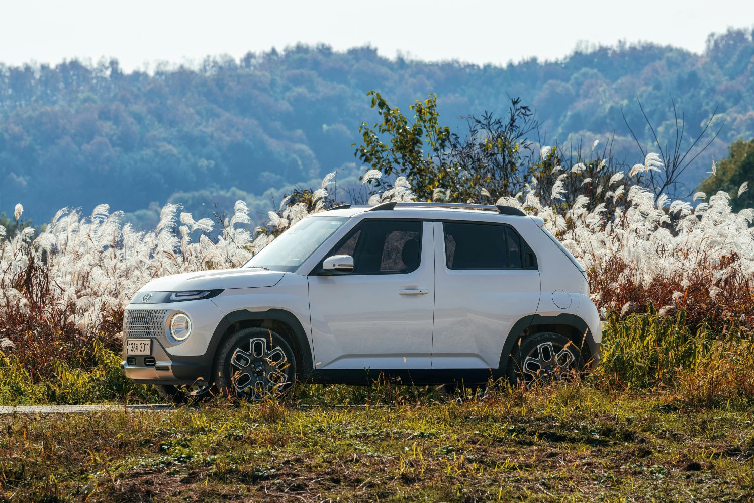 Używane Nissany – wybierz auto, na którym możesz polegać